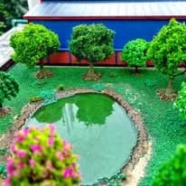 Landscaped pond and planting